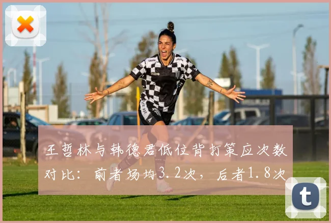 王哲林与韩德君低位背打策应次数对比：前者场均3.2次，后者1.8次，中锋战术角色迥异